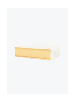 Arsene et les pipelettes Peluche Brie Jellycat New