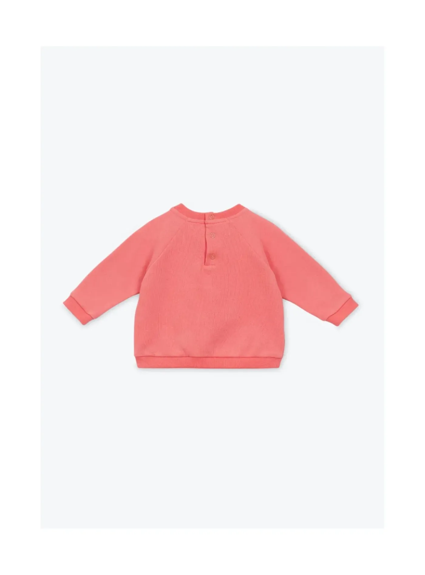 Arsene et les pipelettes Sweat Bébé Crevette Club ROUGE30 Online